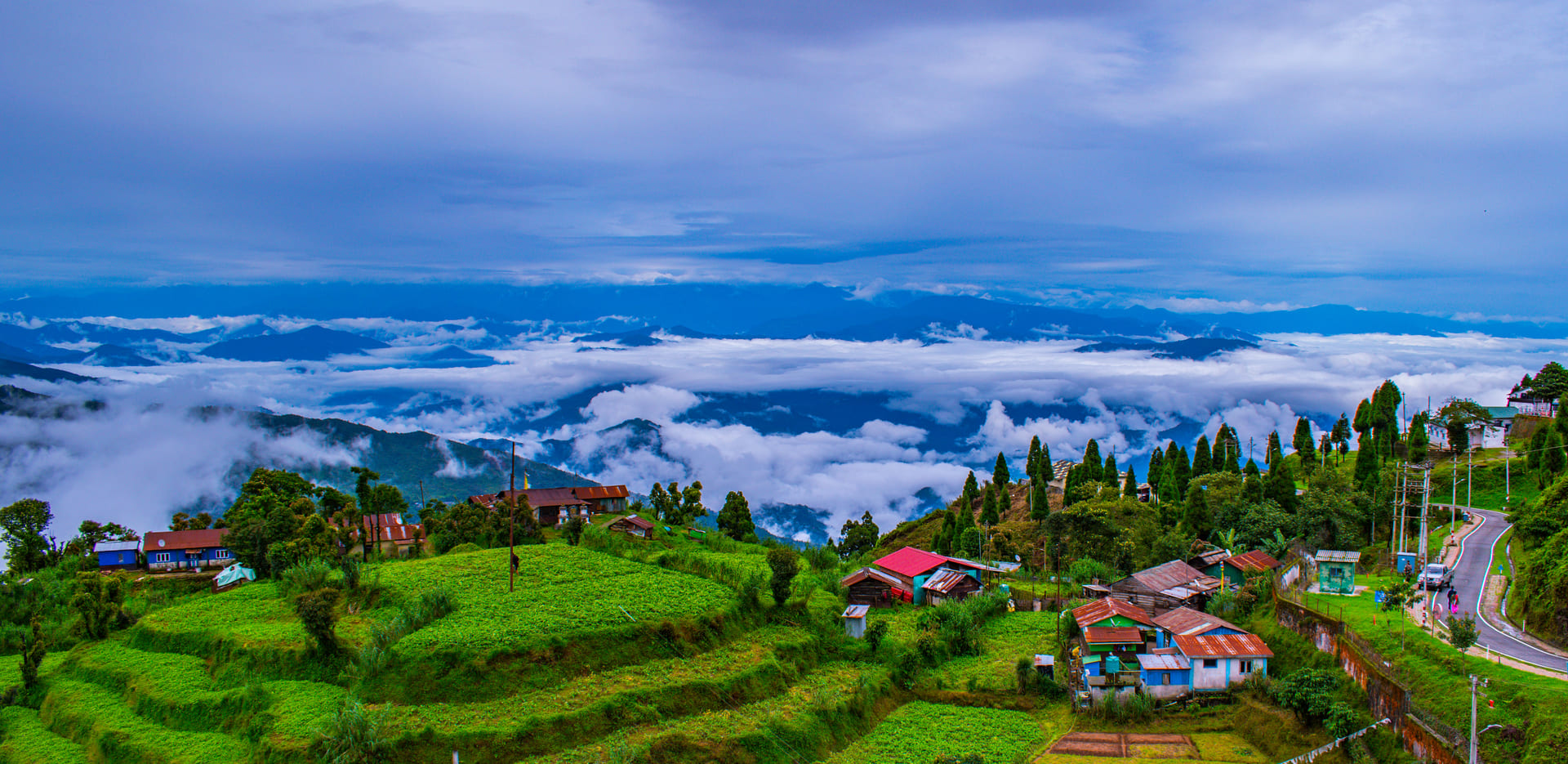 Darjeeling landscape — misty hills and tea gardens