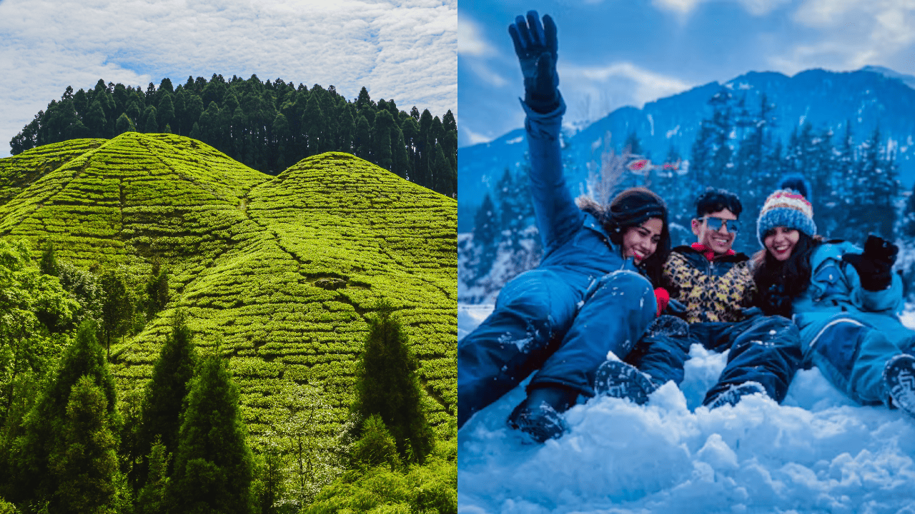 Manali or Darjeeling for honeymoon