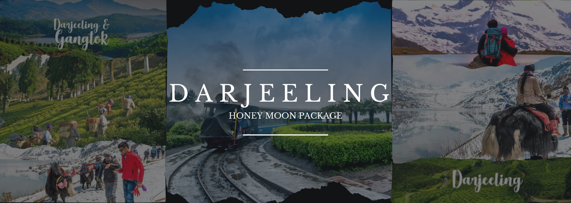 Darjeeling honey moon packages banner